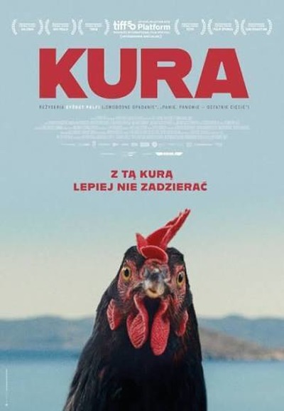 Plakat wydarzenia:  KURA